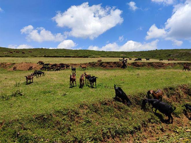 夜夜嚕2017最新视频免费 有助于维护平台生态