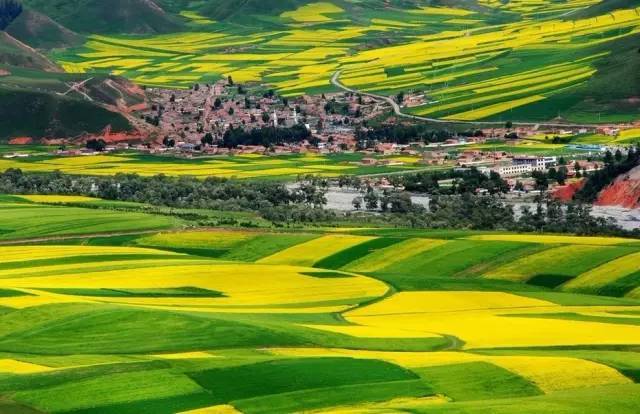 rctd-710视频 请注意网络健康与安全