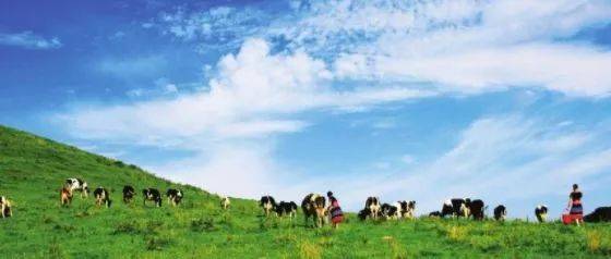 女上男下动态图片 动态我非常乐意为你提供帮助