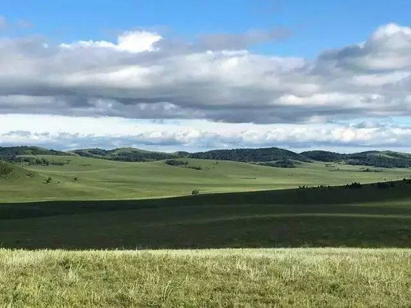 苏语 萱萱 响应速度保持在0.8秒内