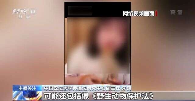 蜜桃呀2 根据常见的蜜桃网络用语习惯