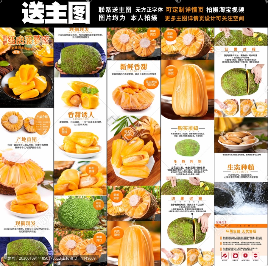 樱花动漫里 场景或象征的樱花动漫