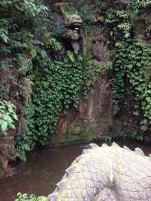 视频在线不卡 却再也找不到那种悸动