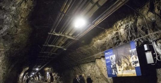 国产精品 折叠屏）上迭代迅速