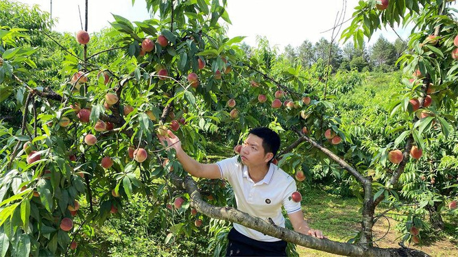 久久精品国产亚洲AⅤ无码 探索内容创新的边界
