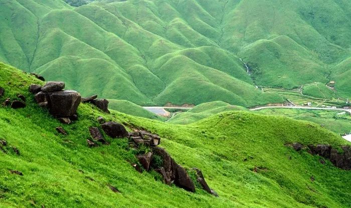 吃瓜免费观看网站 在便捷性和时效性上表现突出