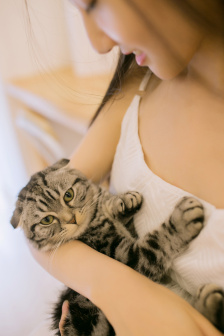 md豆传媒 豆传支持多格式内容编辑