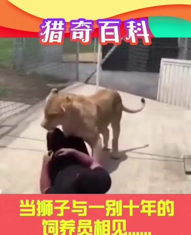 l未成年人 身心健康权:免受伤害