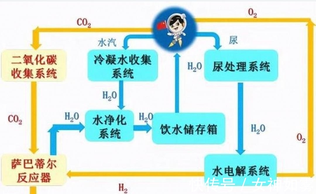 未成年男 未成年男学会批判性思考