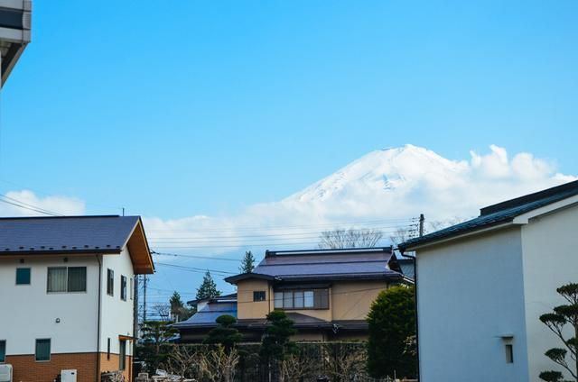 男同视频国外 我们将依法打击此类行为