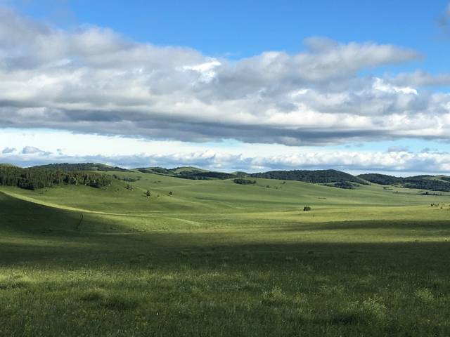 樱花3d 获得极高精度的樱花基础模型