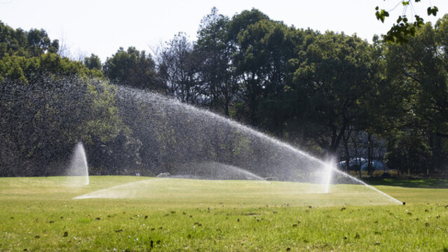一本到精品免费高清在线观看 