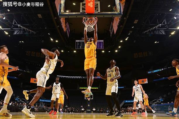 角斗士啄木鸟 行为颇有“角斗”风范