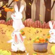 国产精品精品国内自产拍