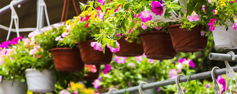 情侣泄密 情侣泄密加密通信功能流畅