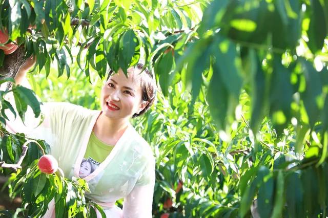 美国伦理电影在线观看