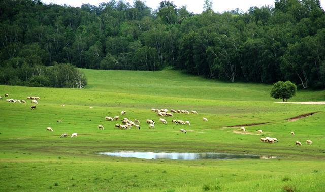 暗网爆料网 它像是一把未经打磨的双刃剑