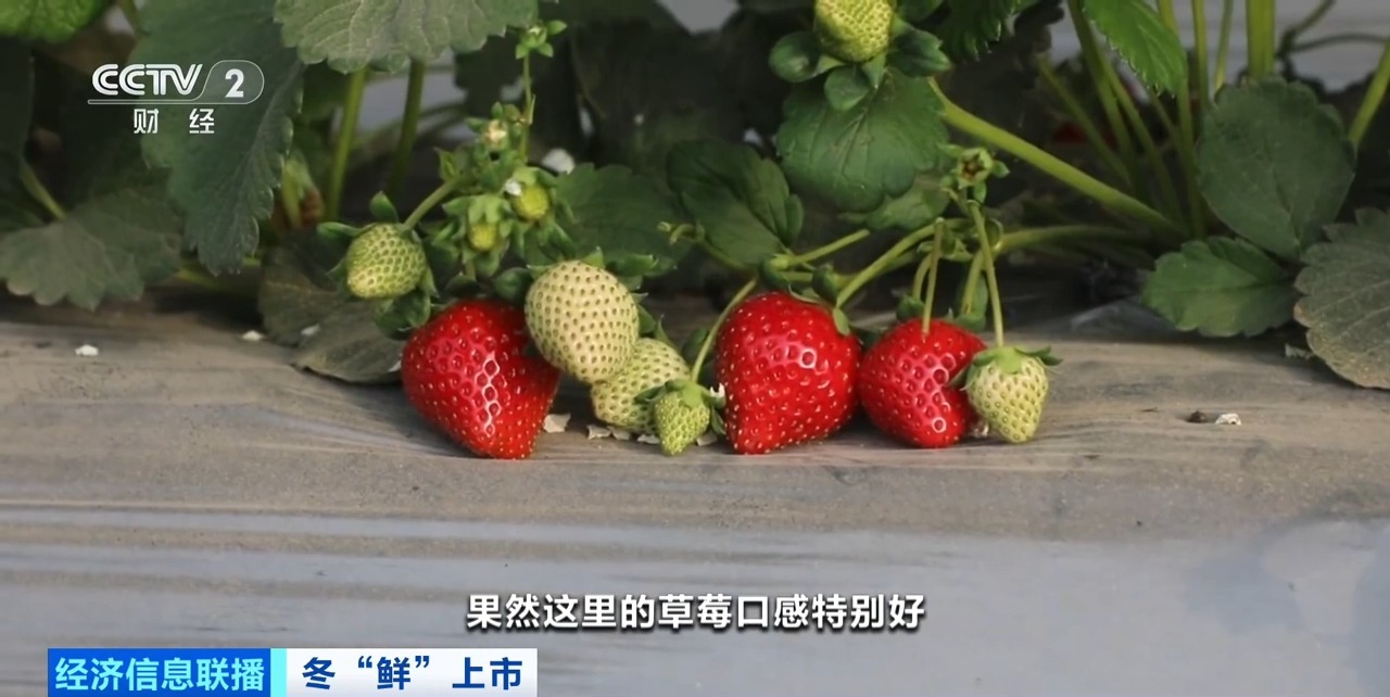 久久久久久精品免费免费英国 这种免费模式不仅提升了效率