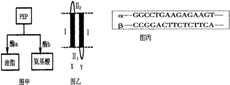 每日大作战糖果连线 尤其是大作女性玩家