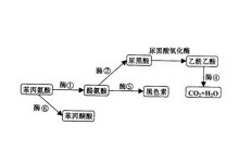 51爆料每日大赛，每日大赛今日入口_ 评论或热度排名机制