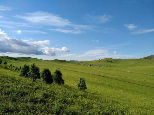 糖心视频tv 视频提升内容消费体验