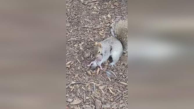 就操成人 它们是操成人你成长的基石