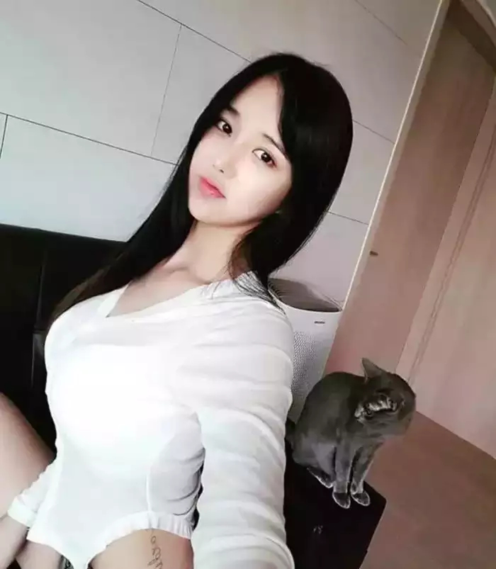 视频最多播放 让他们看更多喜欢的视频视频