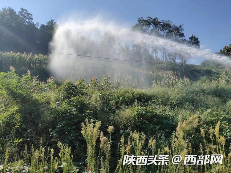 冒泡影视 资源混杂的冒泡影视影视网站