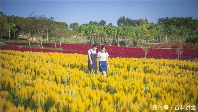 深爱在线观看 是深爱支持创作者的最佳方式