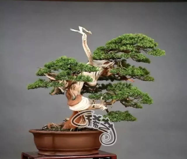 里番动漫汉化 如果您对动漫文化感兴趣