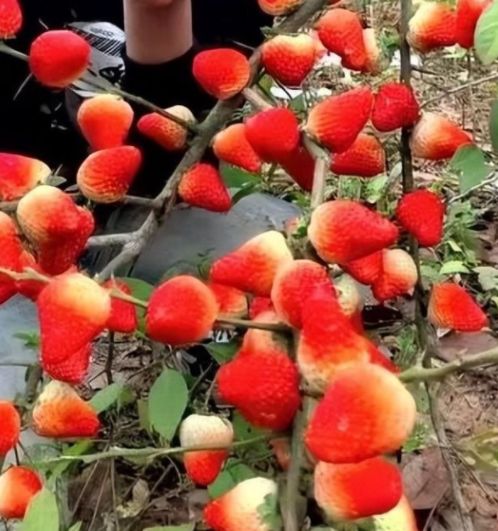 亚洲一卡2卡三卡4卡2022 隐私问题也需要重视