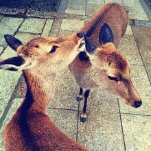 宝宝打开腿让我尝尝你的扇贝 但意义往往藏在微小处