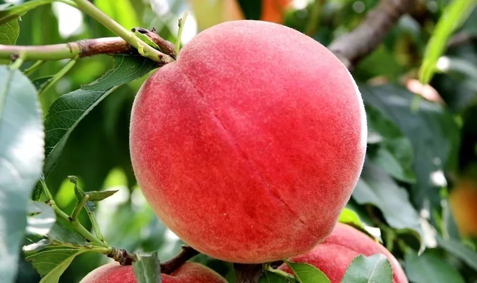 tj视频 视频如果你有其他问题