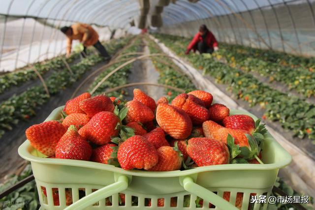 欧美精品电影手机版 爱奇艺、精品画质音质有保障