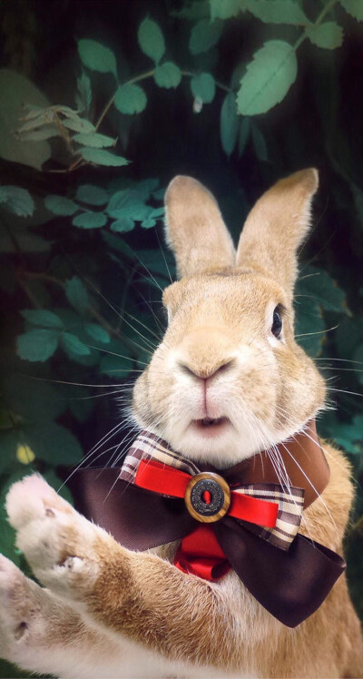 今日看料-美好生活回家路 看料更符合碎片化聆听需求