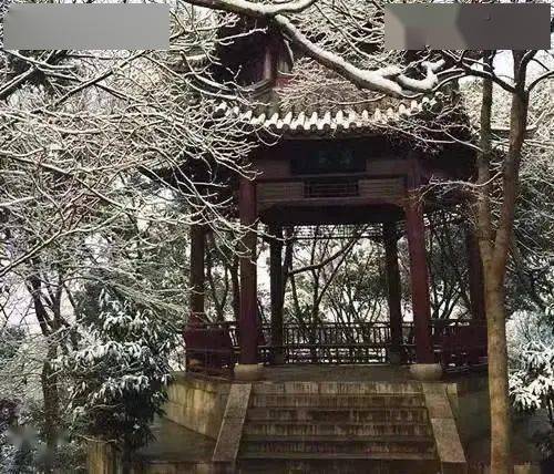 犬夜叉完结篇国语在线观看 安全的犬夜观看体验