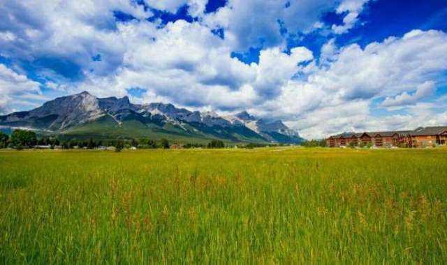 lsjrjk.cn 为特定爱好的消费者提供产品