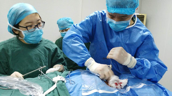 熟女国产精品视频一区二区三区 