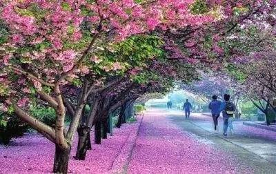 nur里番预告官网