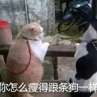 天堂资源中文网