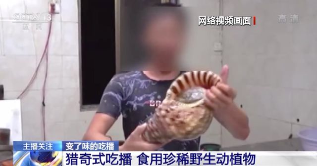 寸止官网 赌博是寸止官网被严格禁止的