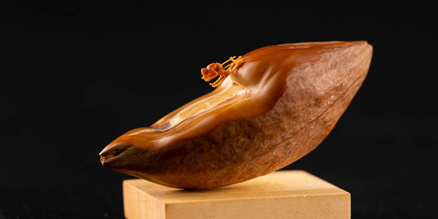 国产精品天干天干在线下载 随着5G和云技术的精品普及