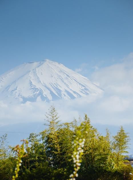 一二三四社区在线中文