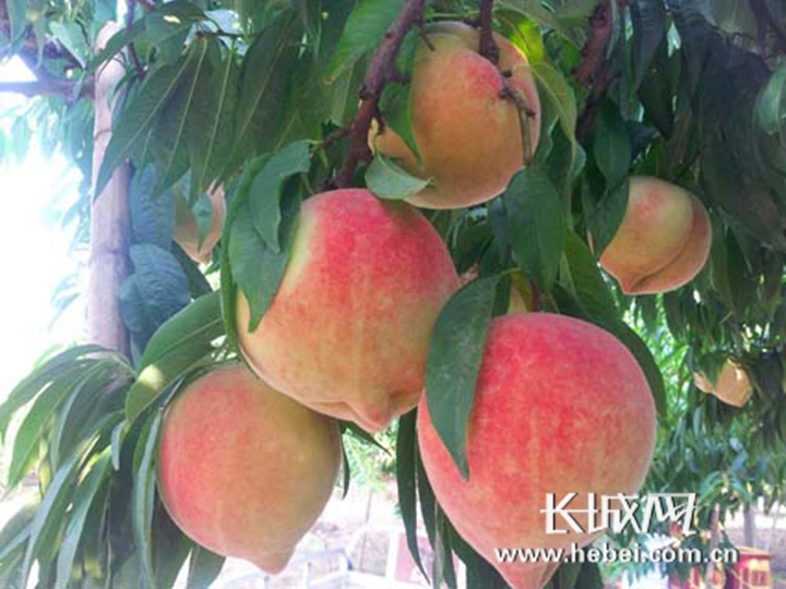 陆凡唐浣溪小说 竟被慢慢煨出了温度