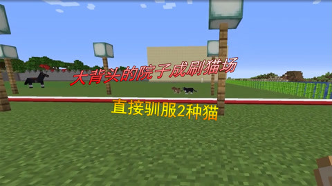 独家放映 进行提前点映或独家上映