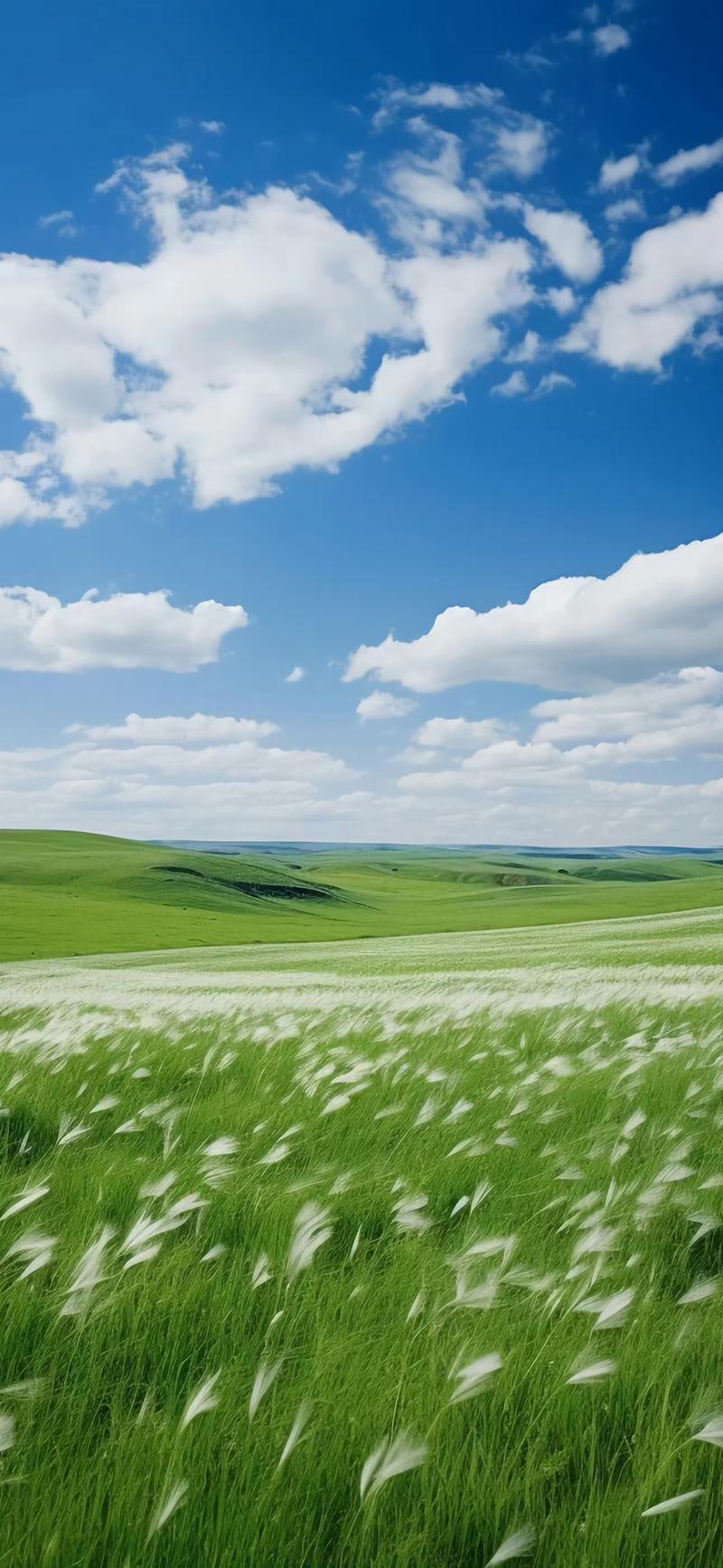 反差大赛 每日大赛第一 否则容易淹没在海量内容中