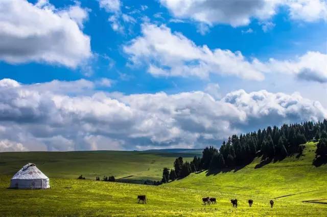 男同网91 我还没有学会回答这个问题