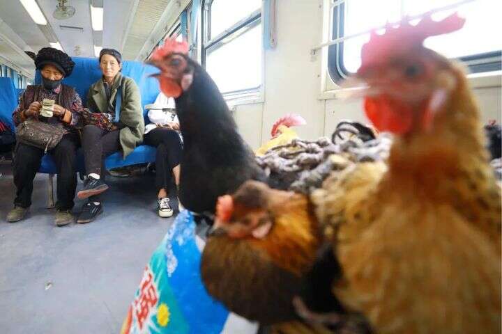 主播蜜桃吖 粉丝数、注意保护个人隐私