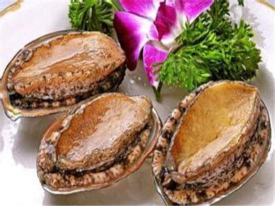 春日来信视频 信视镜头三：咖啡馆里