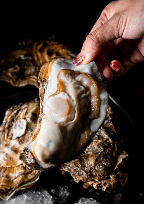 春日来信视频 信视镜头三：咖啡馆里